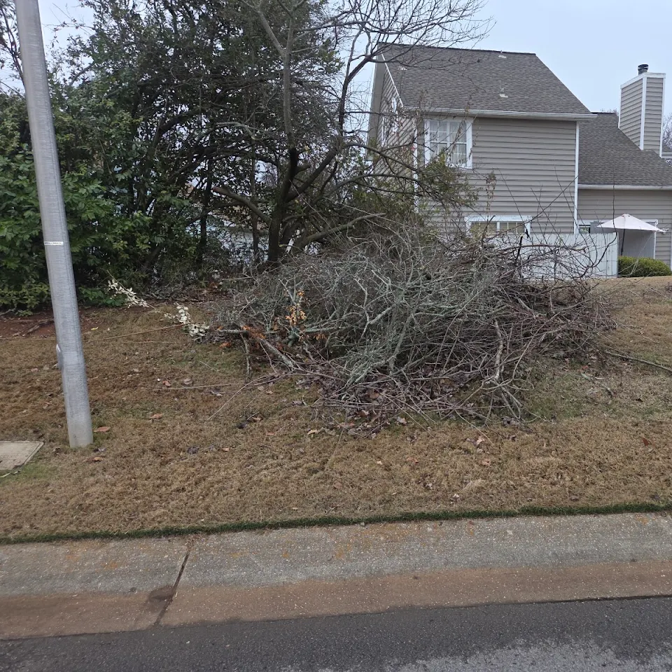Brush and limb pile ready for yard waste removal