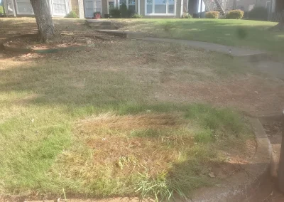 Haul Of Fame Junk Removal job photo - Huntsville area junk removal