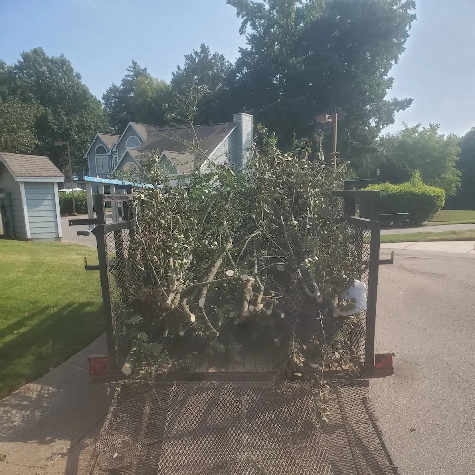 Trailer loaded with brush and limbs from a property cleanup