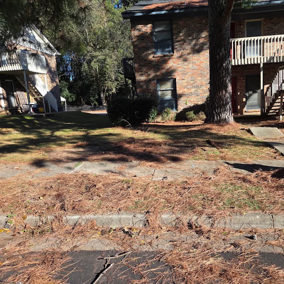 Yard debris behind a home before cleanup Yard debris behind a home before cleanup